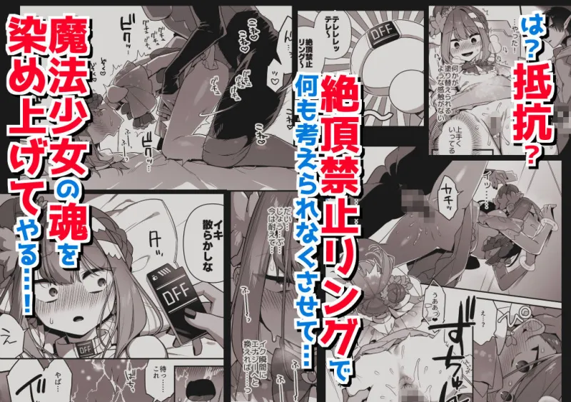 悪の手先になったので。～魔法少女を陵辱します～3前編