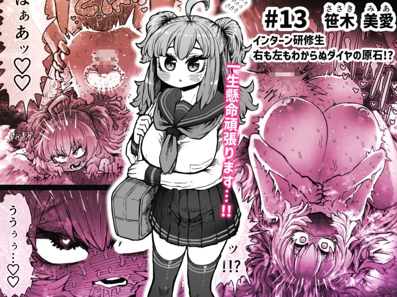 完全同意型性風俗SS株式会社【インターンシップ編】