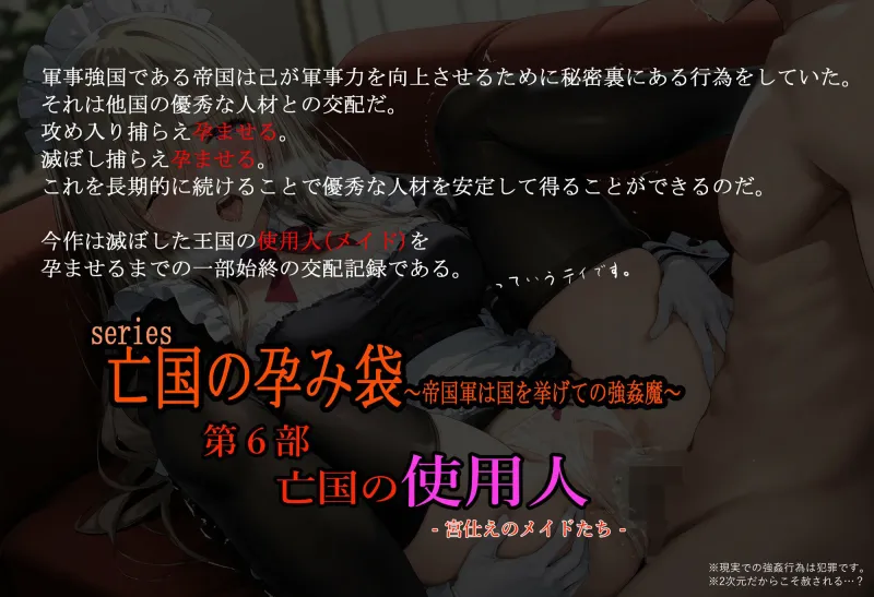 亡国の孕み袋 ～帝国軍は国を挙げての強姦魔～ 第6部 亡国の使用人 -宮仕えメイドたち-