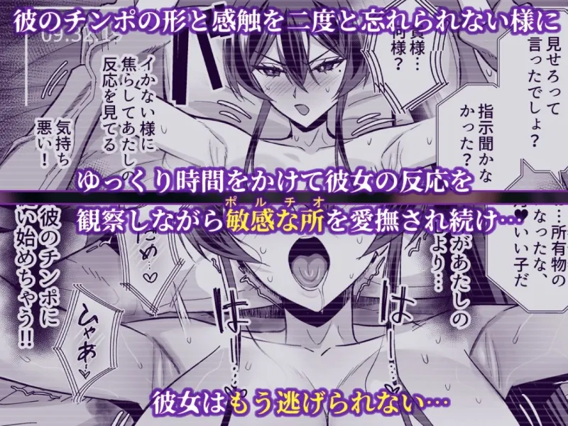 屈服2.5～風紀委員長は持ち帰られて弄ばれて…～