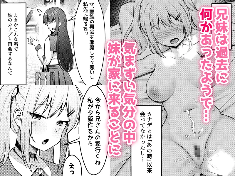 兄ラブ高湿度長乳妹に迫られて孕ませちゃう話